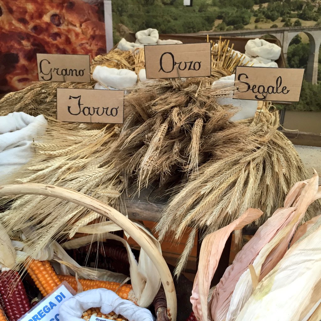 I imagine life after this 1 would have a park like #TerraMadre where I can enjoy 100s of regional foods from around the world #FutureOfFood