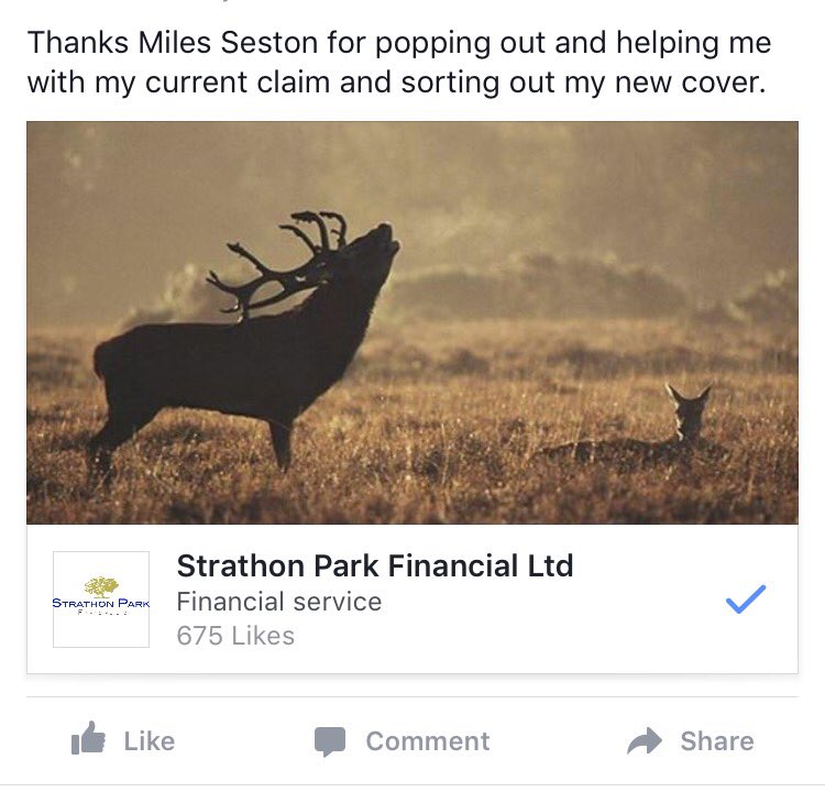 Strathon Park tweet media