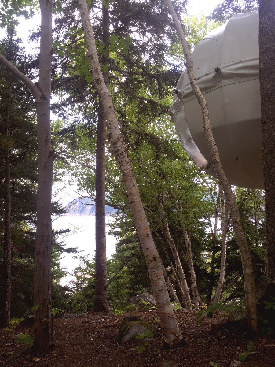 MeghanFinney's tweet photo. Cocooning. 🌲 @ParksCanada_NS https://t.co/eYEBL8sfdO