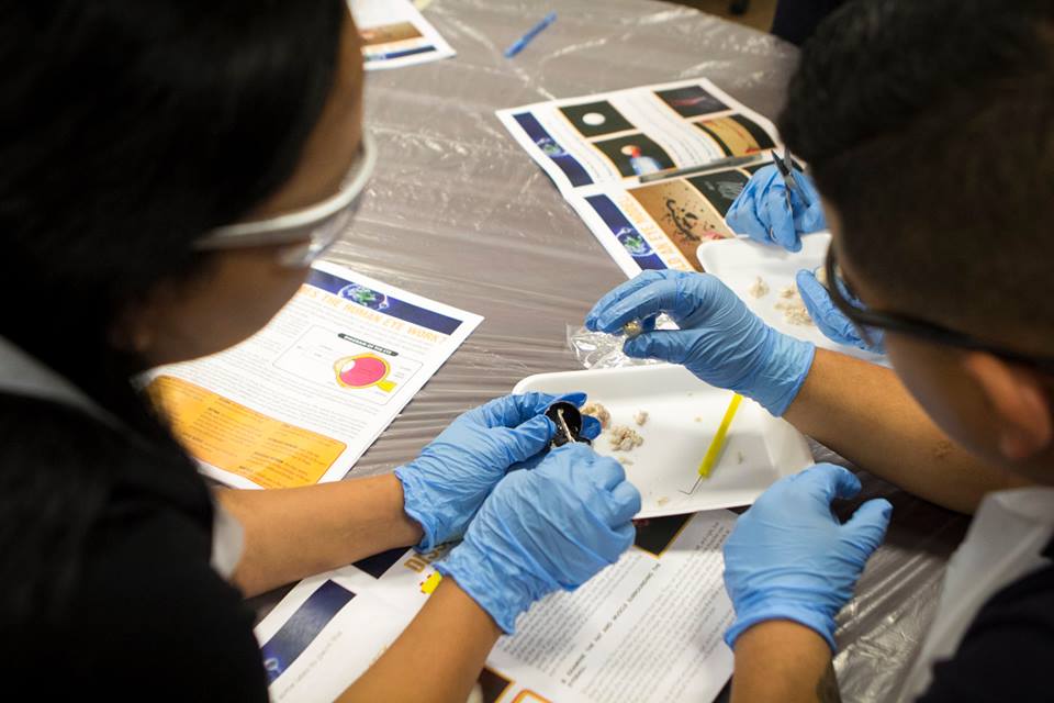 getENCORE's tweet image. Celebrating #GEARUPweek by highlighting our Anatomy Camp with @RegionOneESC GEAR UP students as they prep for their Biology EOC exam!