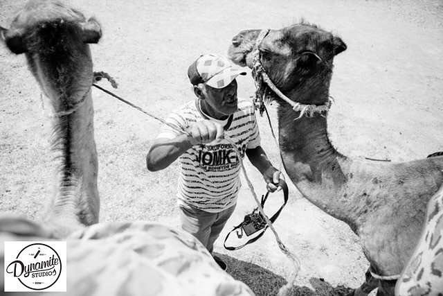 We love finding a new adventure! Camel riding anyone? 🐪 #commercialphotographyorlando #dyn… ift.tt/2cPu2qz