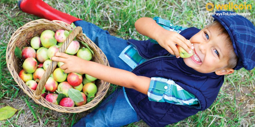 Wellcoin's tweet photo. It's apple picking season! Grab your friends and plan an outing. #SomethingFun #ItPaysToLiveHealthy https://t.co/d1axOmiYi0