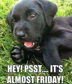 PetCareService5's tweet photo. good morning :) thank you for following us. #ilovepetcare https://t.co/ngtm8YQGQ8