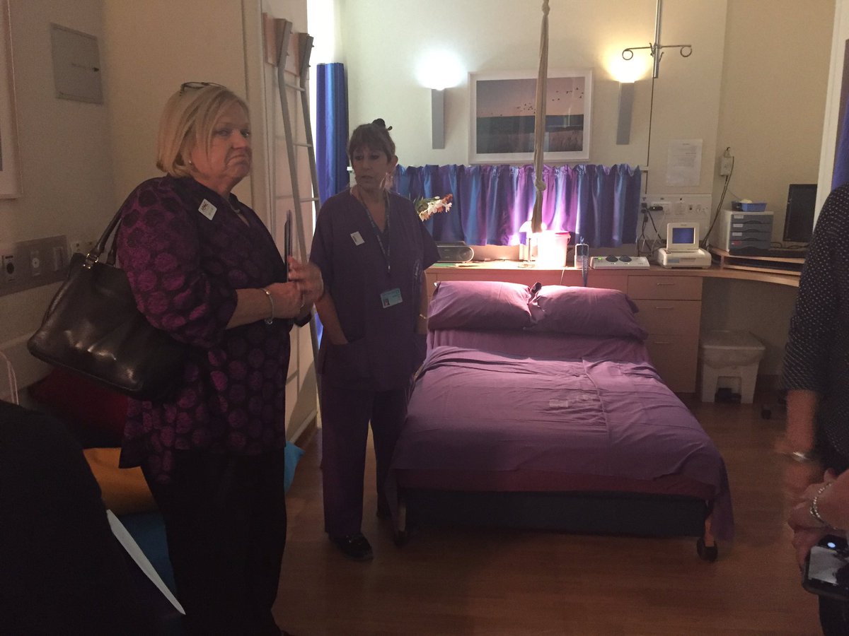 MswickMaureen's tweet photo. Joan Clark and team visiting birthing room at Hadassah Medical Center... https://t.co/gokRC9I3sJ