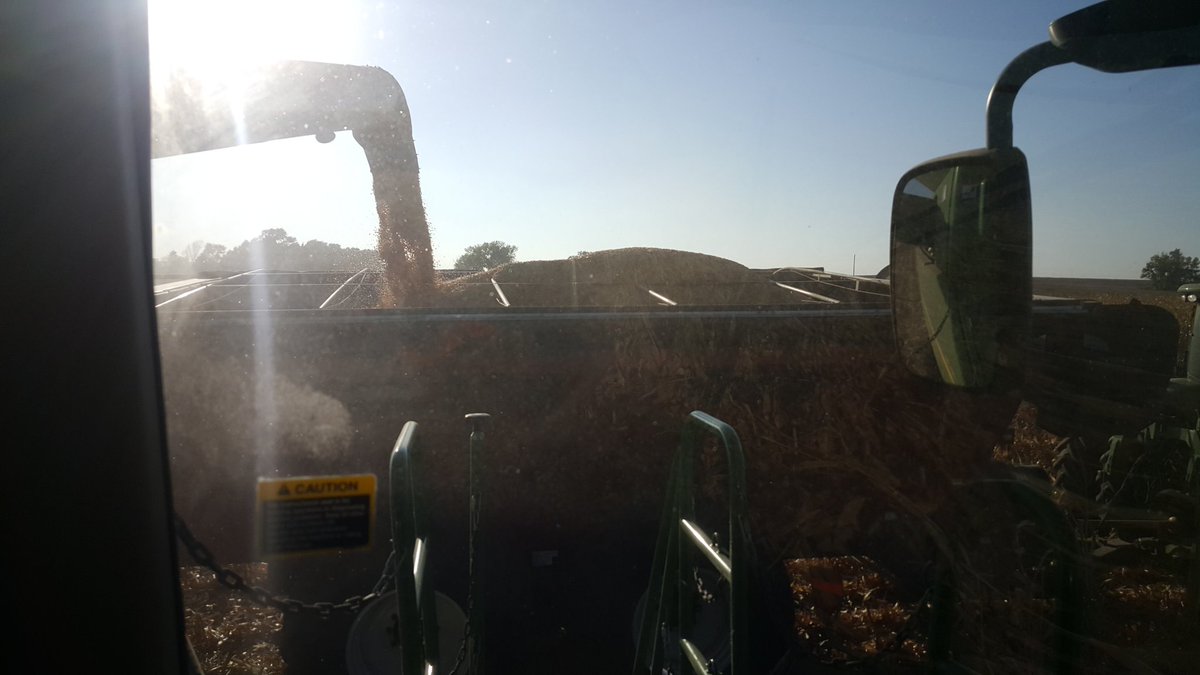 JosephM0226's tweet photo. @ChannelSeed harvest 16 # placedtopreform #nickcox https://t.co/GfpjfXkuKK