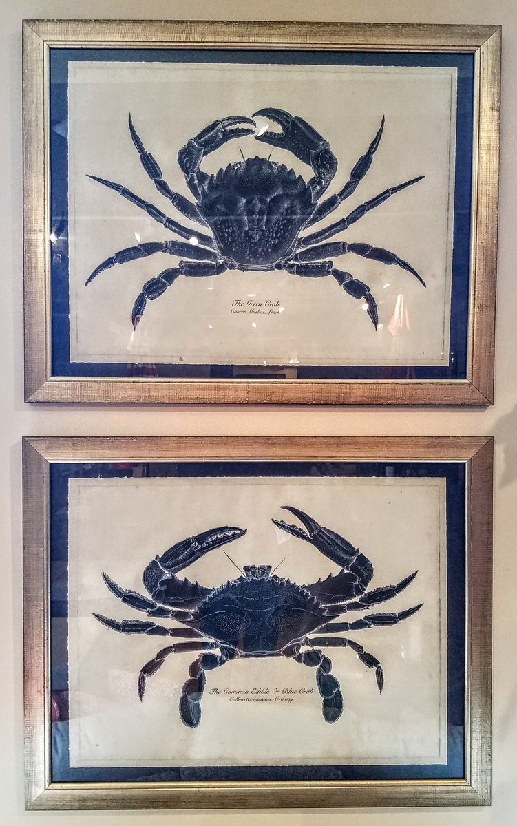 Michael Ryan tweet media