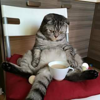 ArleMartinez953's tweet photo. Cuando me dan café pero sin pan. https://t.co/UPnNtsDT2q