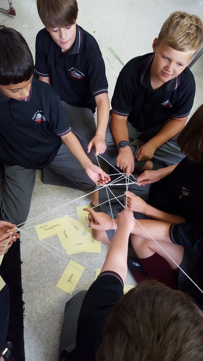 mrssfalkenberg's tweet photo. Food webs #wearerundle #rundleacademy #science #treesandforest #sciencerules #foodwebs https://t.co/ZHmgFfCopi