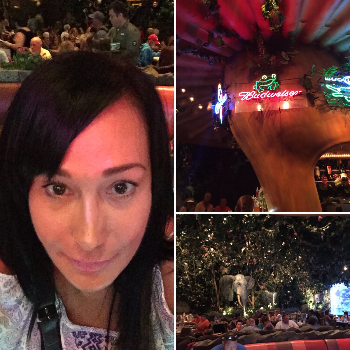 EvaLardani's tweet image. Eating at rain forest cafe #alone #Disney #funanyway