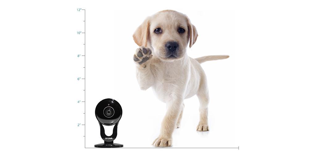 Nope. Cuteness can't be measured. Meet the all-new HD 180-Degree #WiFi #Camera ow.ly/gh9a304fkBH