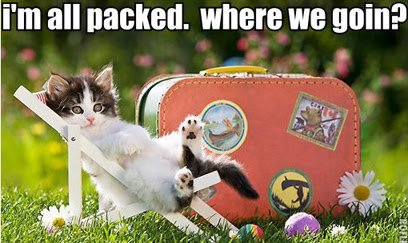 StorageChamps's tweet image. Moving can be an exciting new chapter. Start your move with a great place to store all of your things!