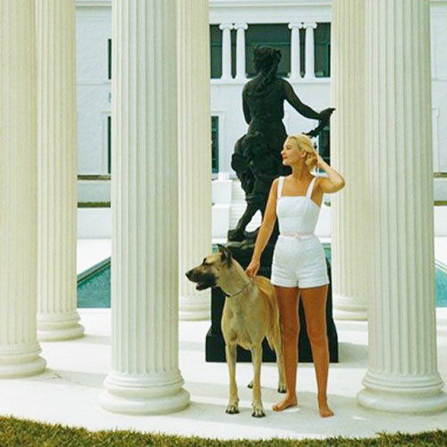 daneanddale's tweet photo. #tbt Life with a dog = the best life #czguest #slimaarons #palmbeach #1968
➡️https://t.co/t3RYvuvd17 https://t.co/k7KO4oVOzH
