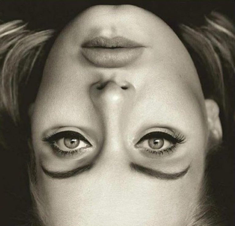 StaffsPsych's tweet photo. Curious about the 'Adele Face Illusion'? Find out more at a Psychology #StaffsOpenDay! https://t.co/k8fIUugfKu https://t.co/uoUK7GpcNY