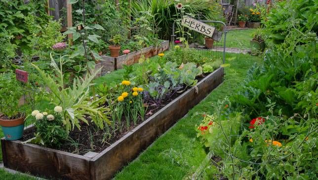 Tanglewood Garden tweet media