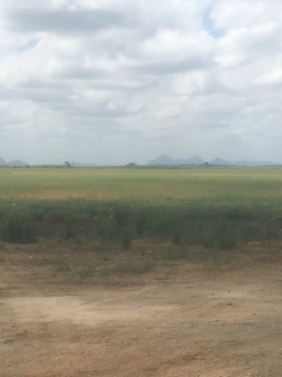 Chickpeas are that good in CQ they call the place "chicktopia"<a href="/theGRDC/">GRDC</a> #GRDCspringtour