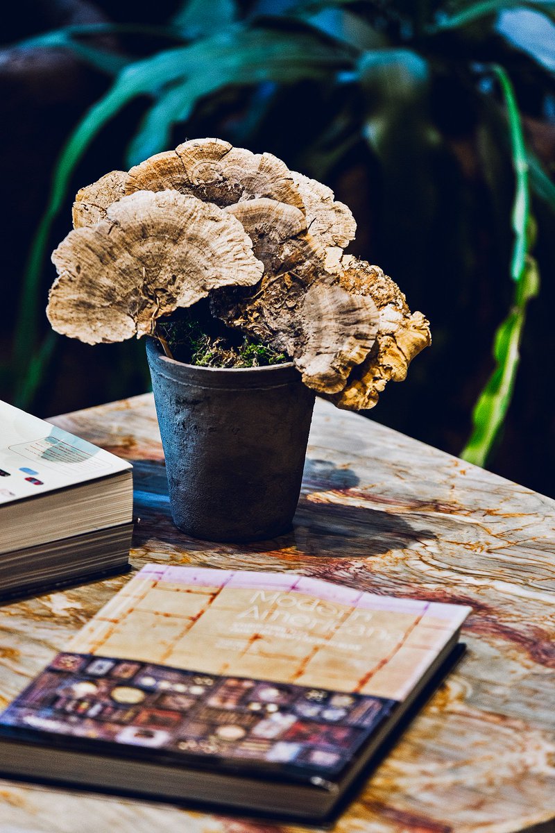 1 Hotel Central Park tweet media