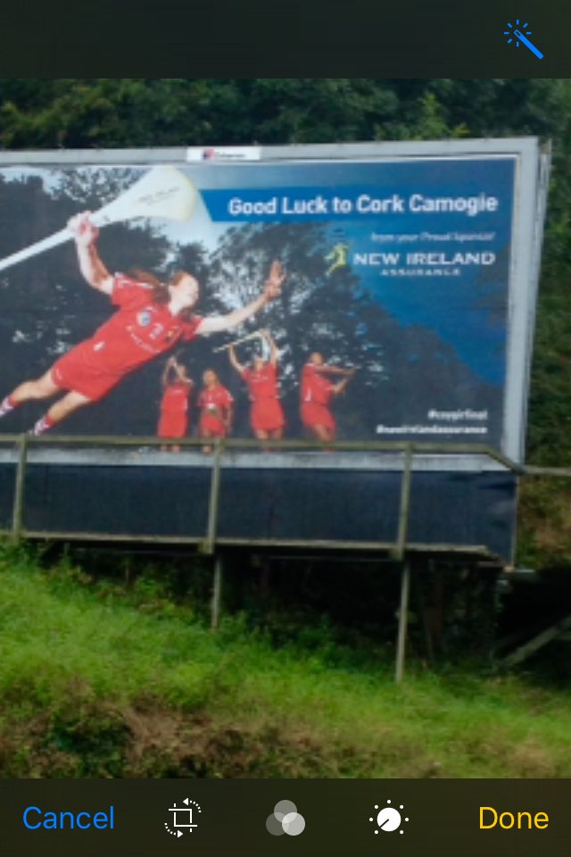 Ann O Sullivan tweet media