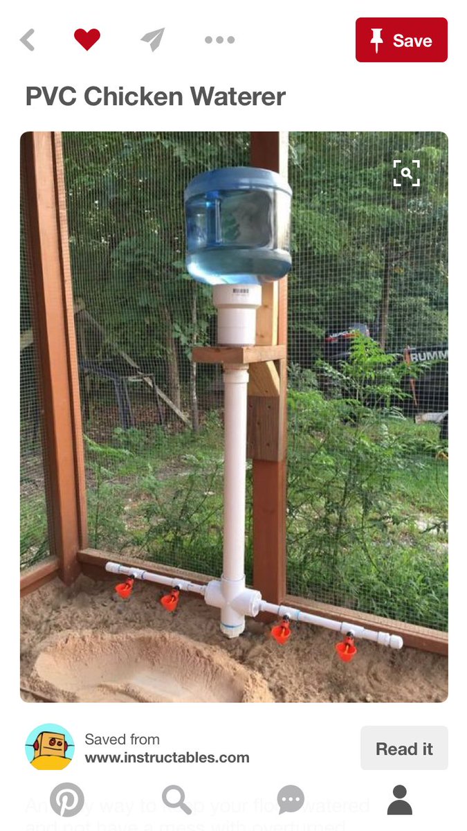 DeanSammyCassX's tweet photo. @realGpad I thought you might be interested in this for your chickens 😆 Pinterest link. https://t.co/WBwU3ziz5o https://t.co/eedMHtUpOa
