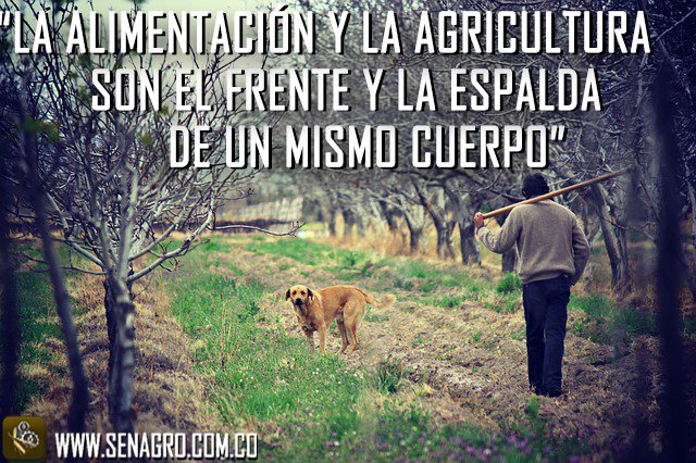 SenAgroApp's tweet photo. Con #alimentacion y la #agricultura #ColombiaSiembraPaz #agriculturaleconomics
#cambiosocial #Senagro https://t.co/AwguTappFF
