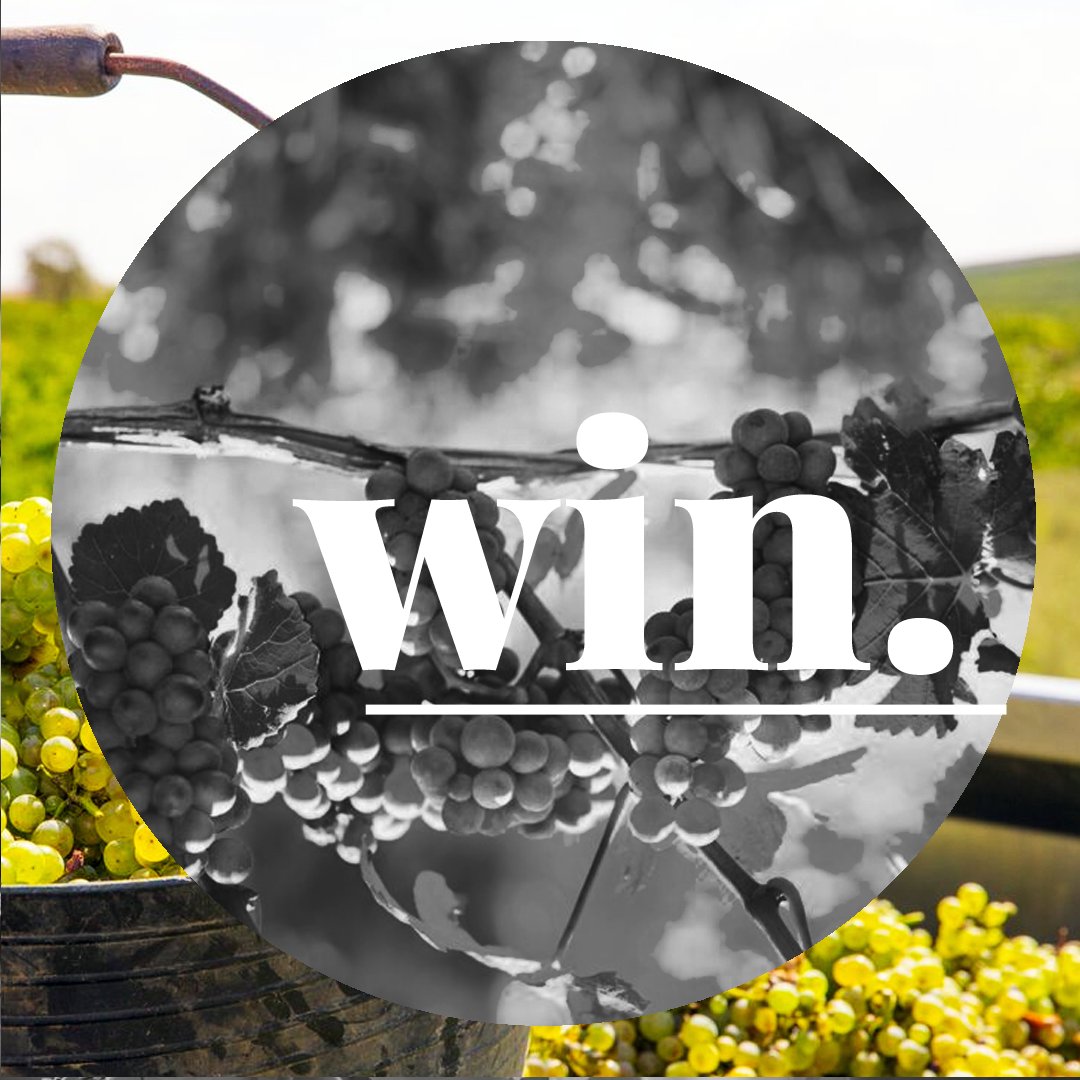 Specialist Cellars tweet media