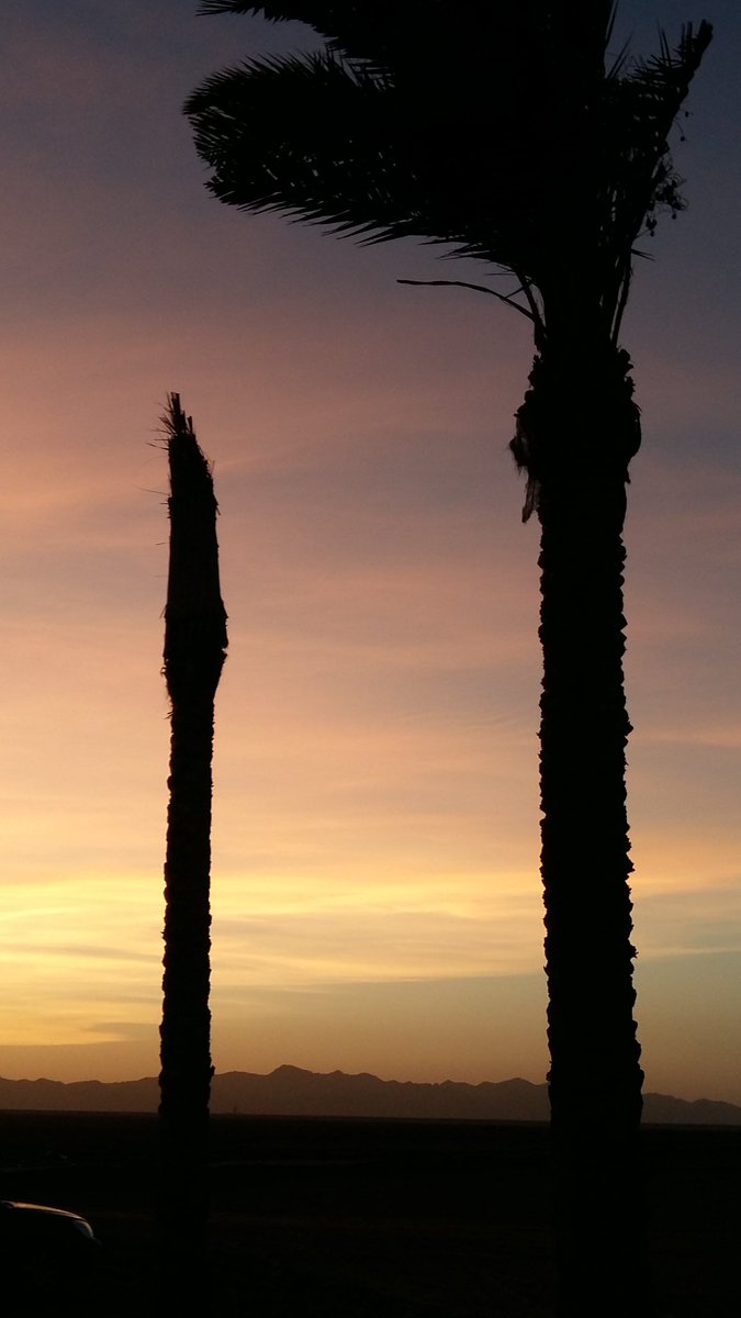WindsurfKiteTOP's tweet photo. Greetings from #Egypt #elgouna #elementwatersports https://t.co/GjwYaNx2XK