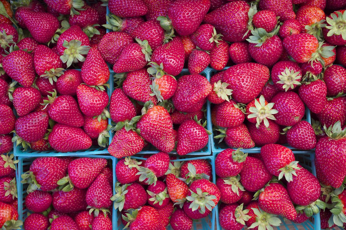 MerleCurran's tweet image. Strawberries Are Your Spring Superfood - amazingfitnesstips.com/strawberries-a…