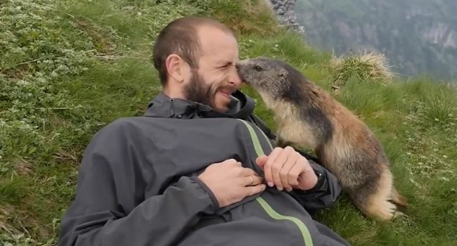 LastVideo's tweet photo. Rencontre entre une marmotte et un randonneur au sommet d’une montagne
https://t.co/r3QC2AHzfC https://t.co/SjvE2HZSDE