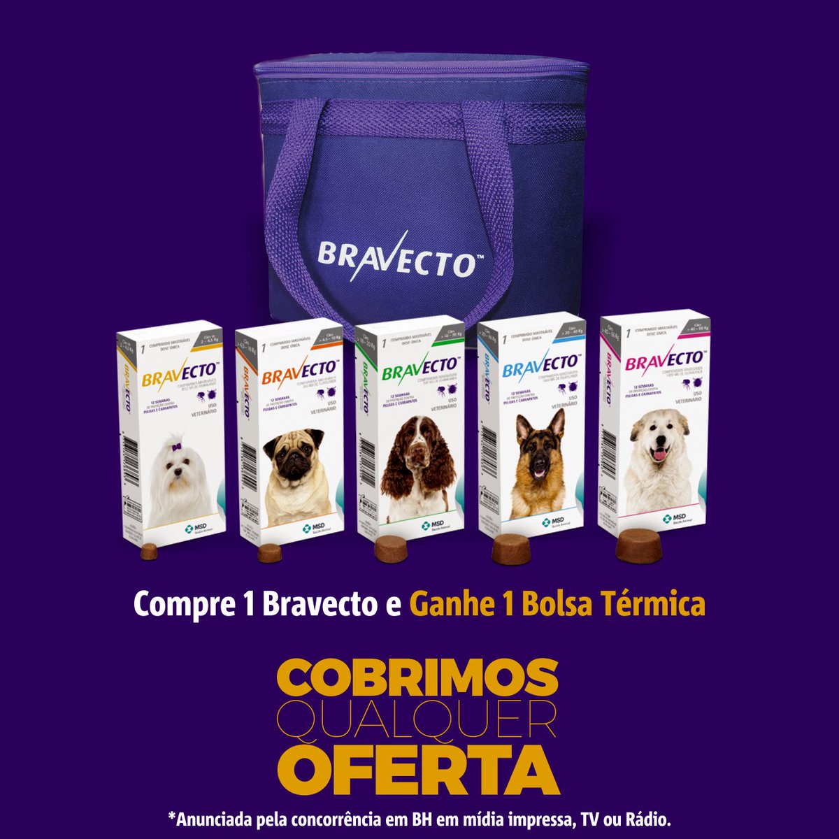 purple cat food bolsa