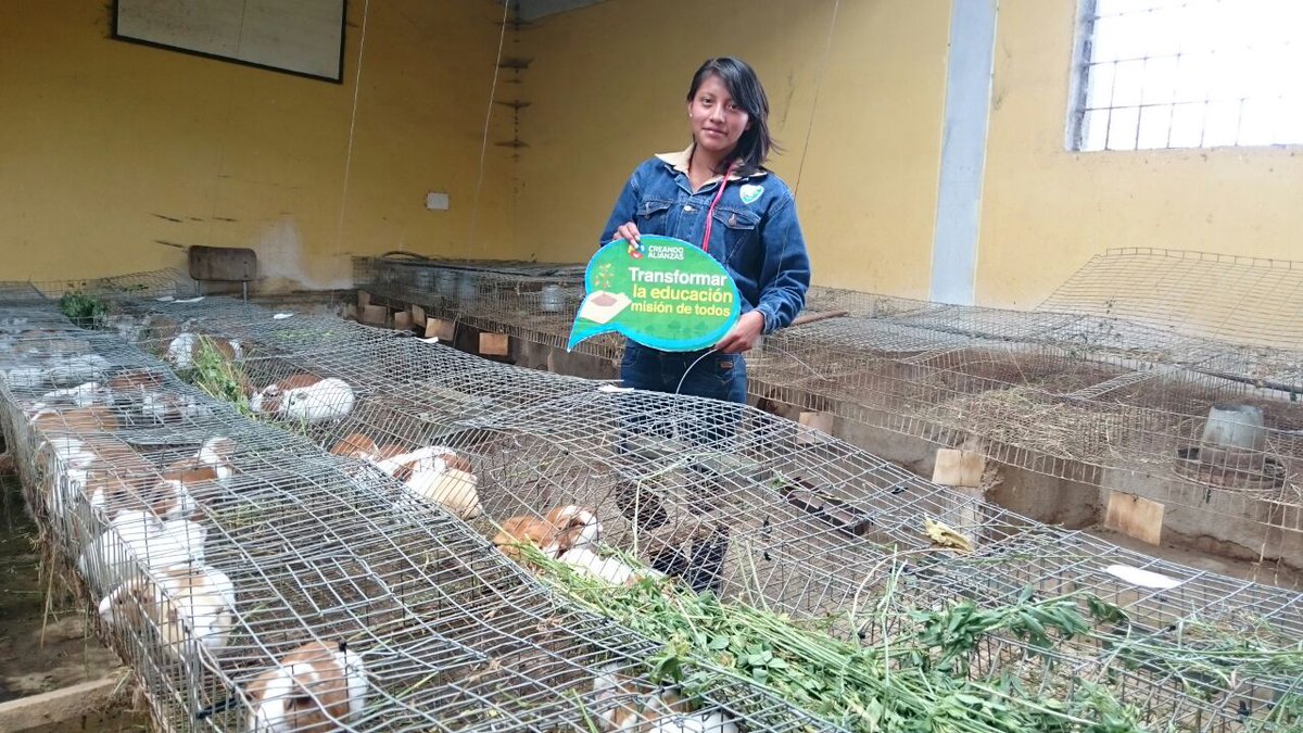 Educacion_Ec's tweet image. Autoridades de @Educacion_Ec y @COMAFORS visitan instalaciones de la UE Simón Rodríguez #CreandoAlianzas