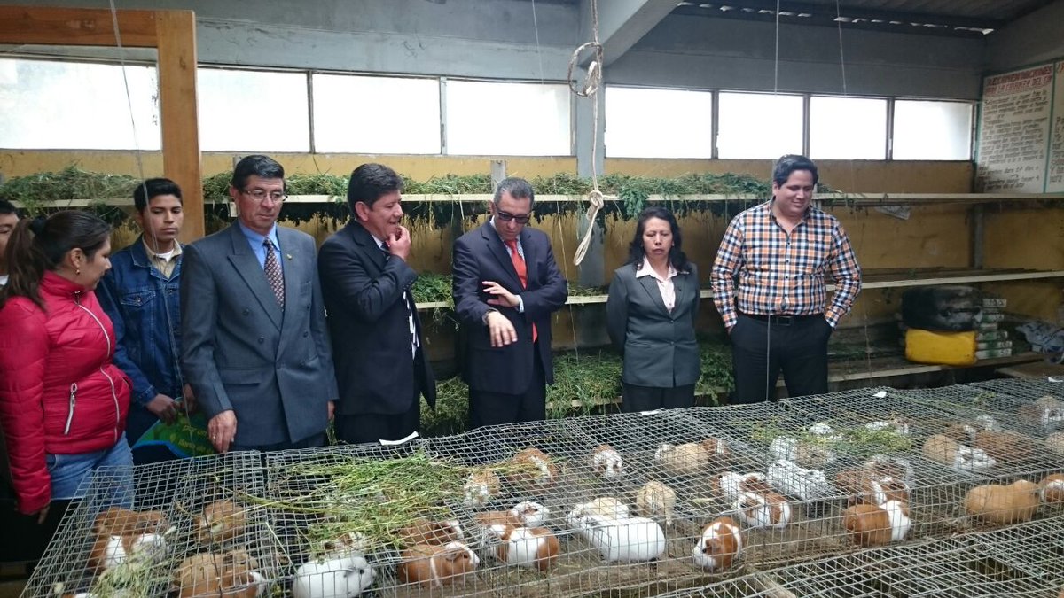 Educacion_Ec's tweet image. Autoridades de @Educacion_Ec y @COMAFORS visitan instalaciones de la UE Simón Rodríguez #CreandoAlianzas