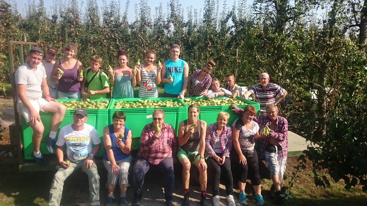 ONZE  FRUITPLUKKERS ZIJN TOPPERS!
NASI ZBIERACZY OWOCOW SA WSPANIALI!
m.facebook.com/story.php?stor…