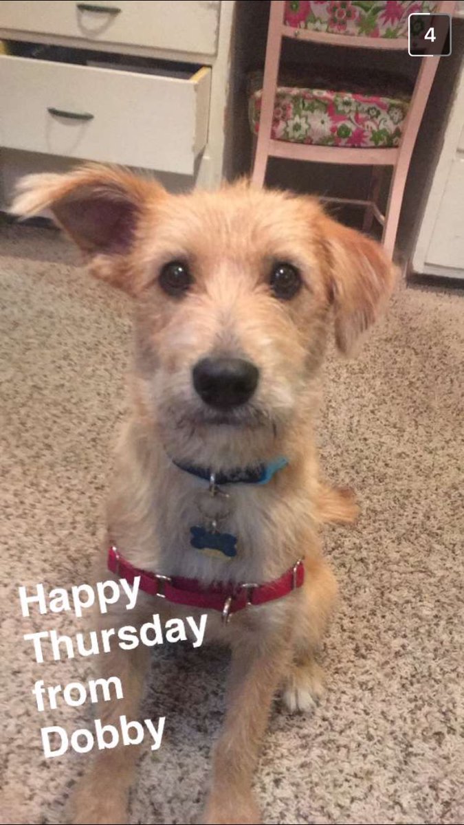 Have a wonderful Thursday everyone! It's almost Friday!