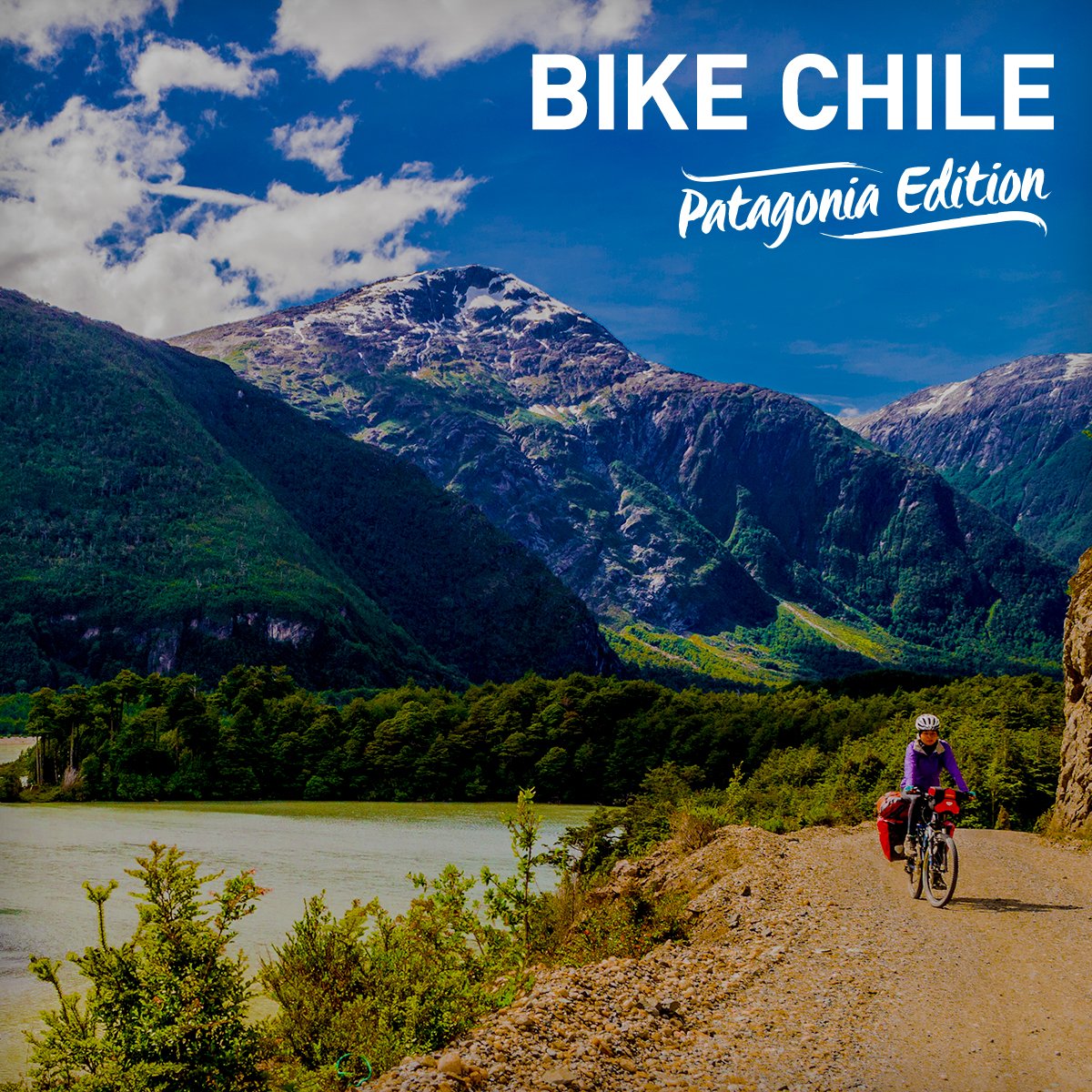 ActiveJunky.com tweet media