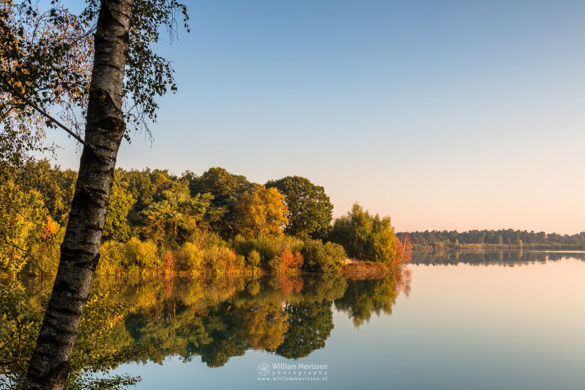 Mirror Lake #Reindersmeer @NPDeMaasduinen #natuur #fotografie #well #bergen #limburg #berk williammevissen.nl/fotografie/fot…
