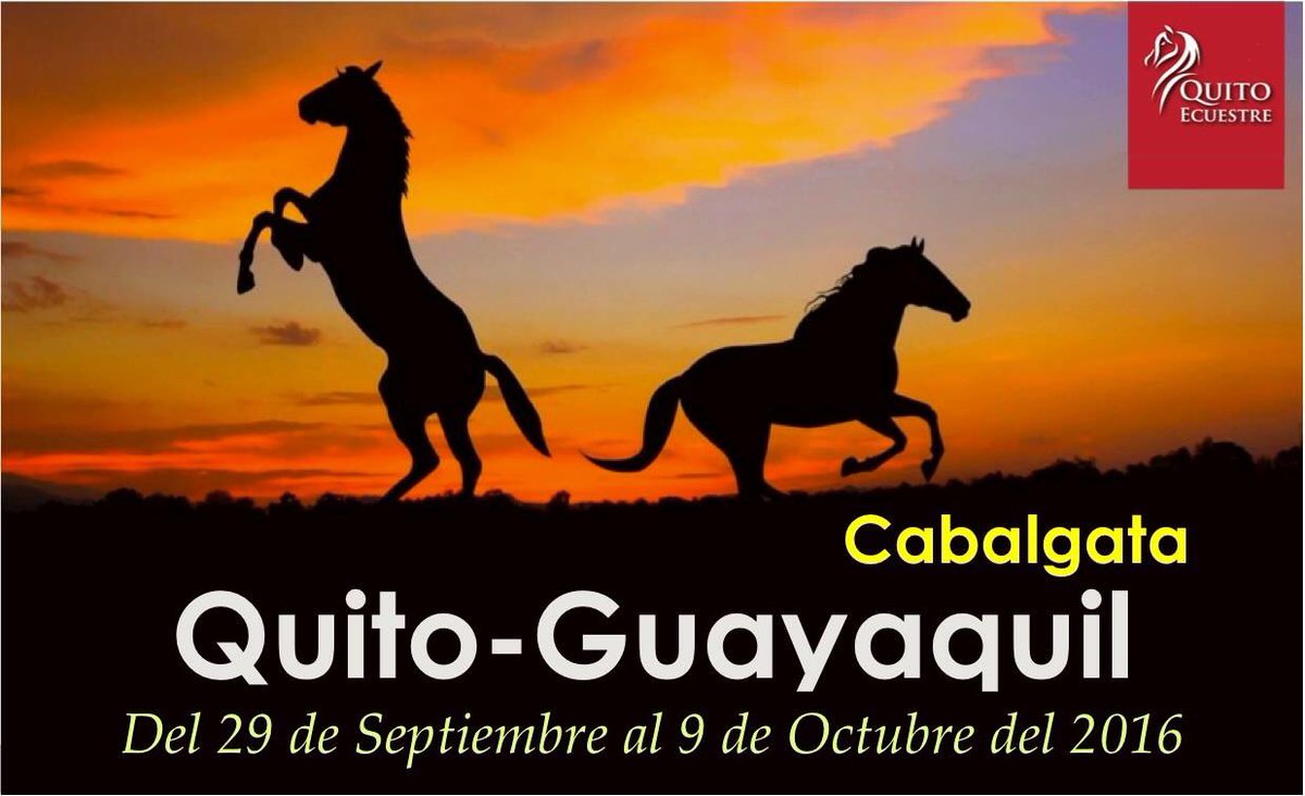 QuitoEcuestre's tweet photo. COMIENZA LA CUENTA REGRESIVA PARA LA GRAN AVENTURA #amoaloscaballos #quitoecuestre #ecuadorpotenciaturística https://t.co/TZbWzMPcEe