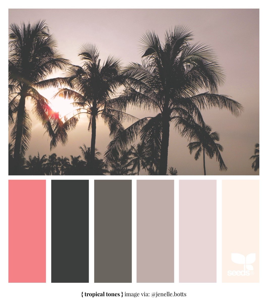 VariableInc's tweet image. Nice colors. Nice location. RT @StarAngelGFX: Color Palette of The Day: Tropical Tones #DesignSeeds #Color