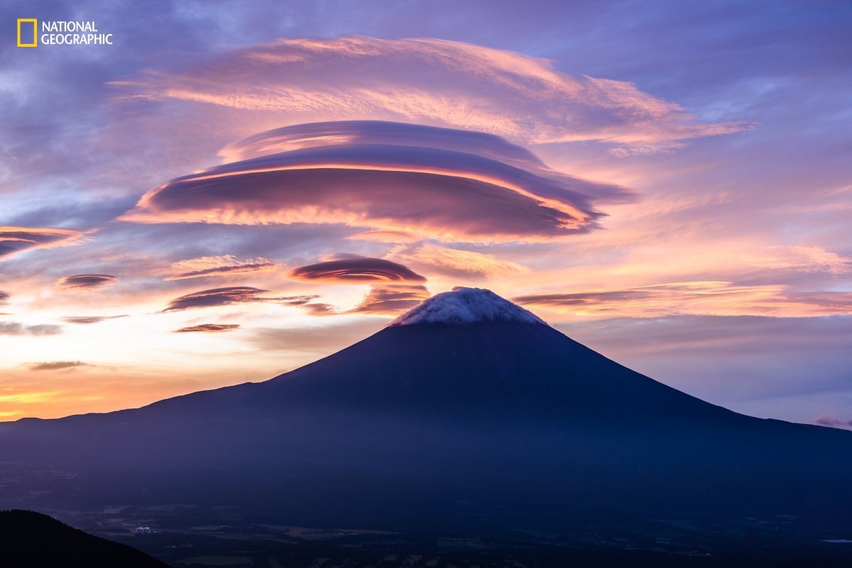 wef's tweet photo. 15 incredible photos from National Geographic's Nature Photographer of the Year contest https://t.co/NiXc0vpMPl https://t.co/mRpZVkPmK2