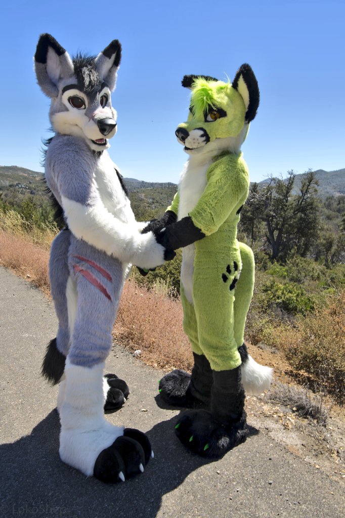 Enigmatic_Havoc's tweet photo. 5 years together and as of this year we are happily married, I love you with all my heart @NukeTownFox <3 https://t.co/egvo9WR7fd