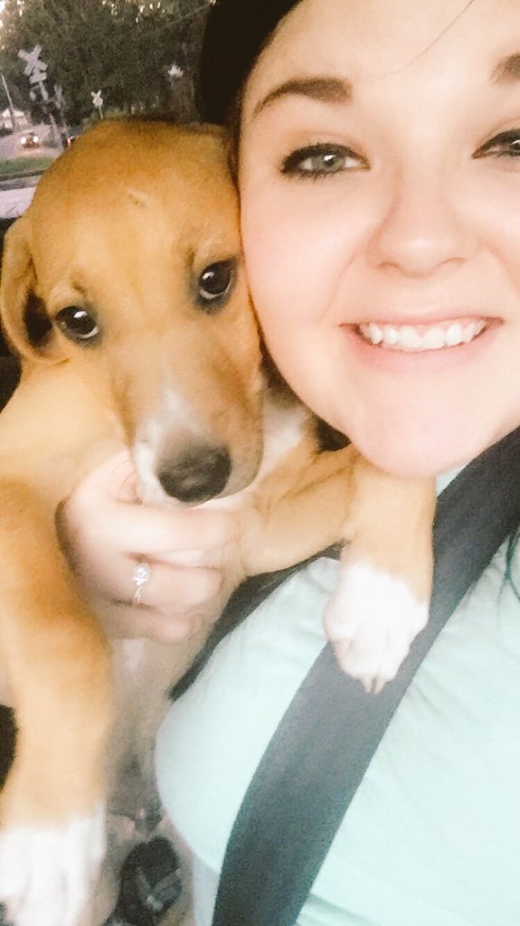 Ka_Weav's tweet photo. Our baby Bo! https://t.co/LyHDLzKK7r