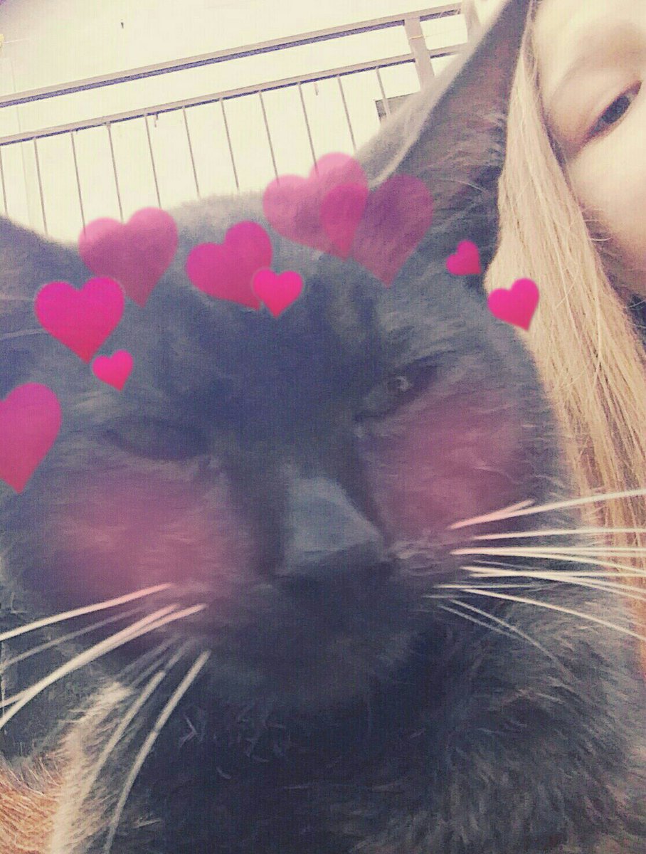 truskawkowyryz's tweet image. Po co mi #mojcrush skoro mam #mojkot