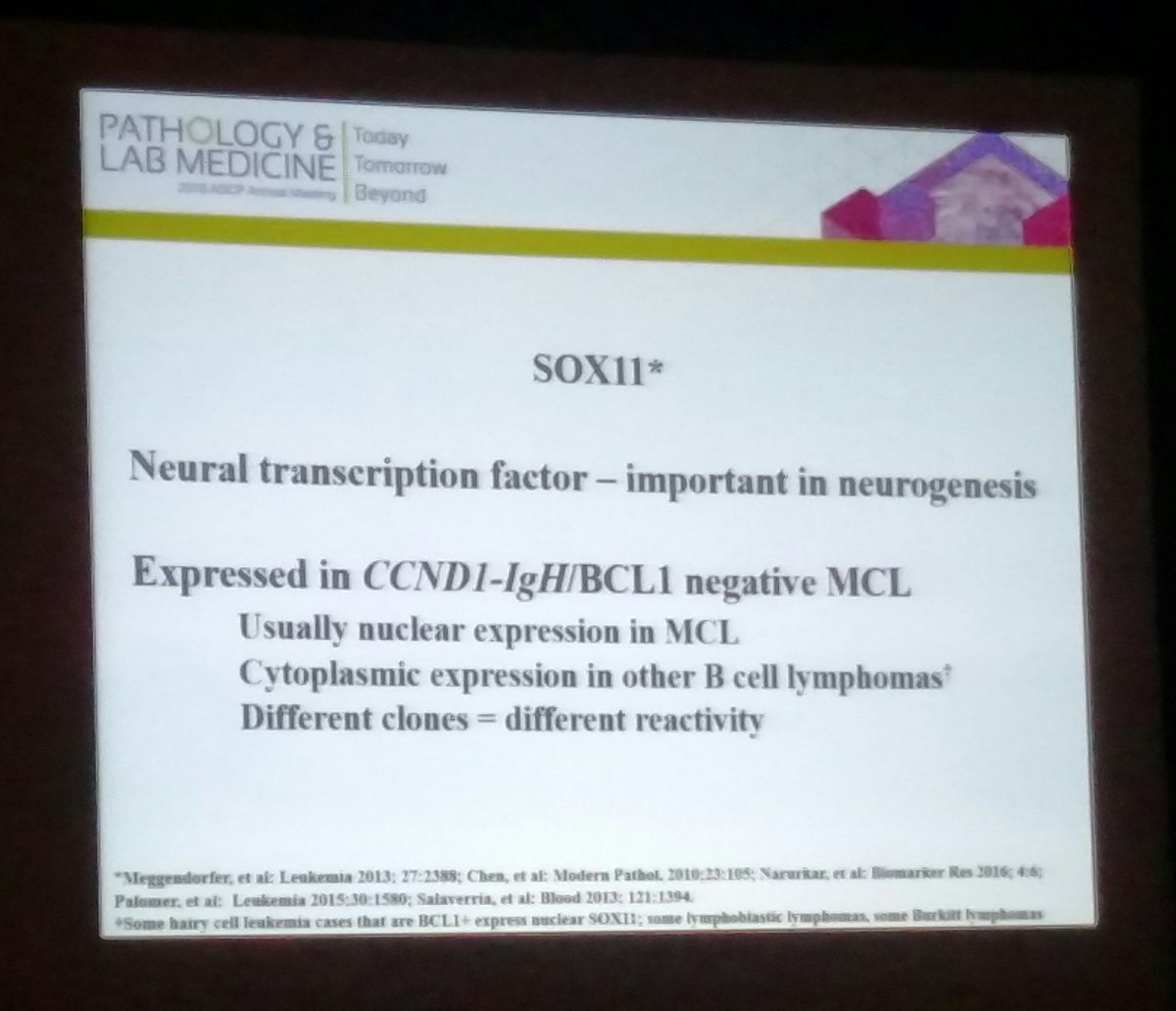 BettyMChung's tweet image. Know your SOX11 come staining in CycD1 neg MCL! Differential staining! #PathLab2016 #hemepath