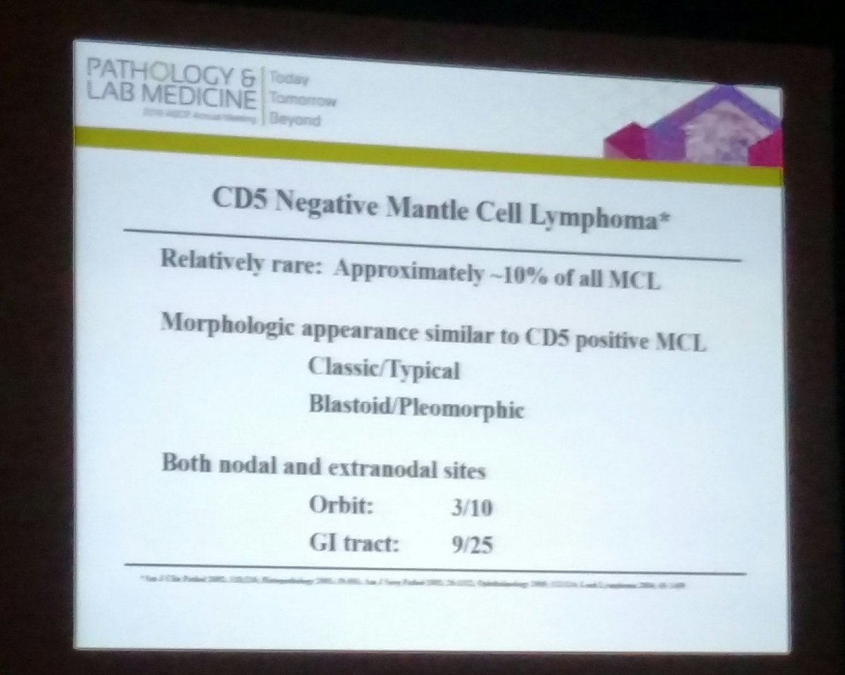 BettyMChung's tweet image. CD5 neg MCL #PathLab2016 #hemepath
