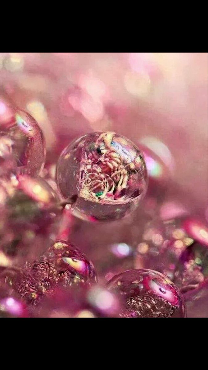 singtoo_andy tweet picture