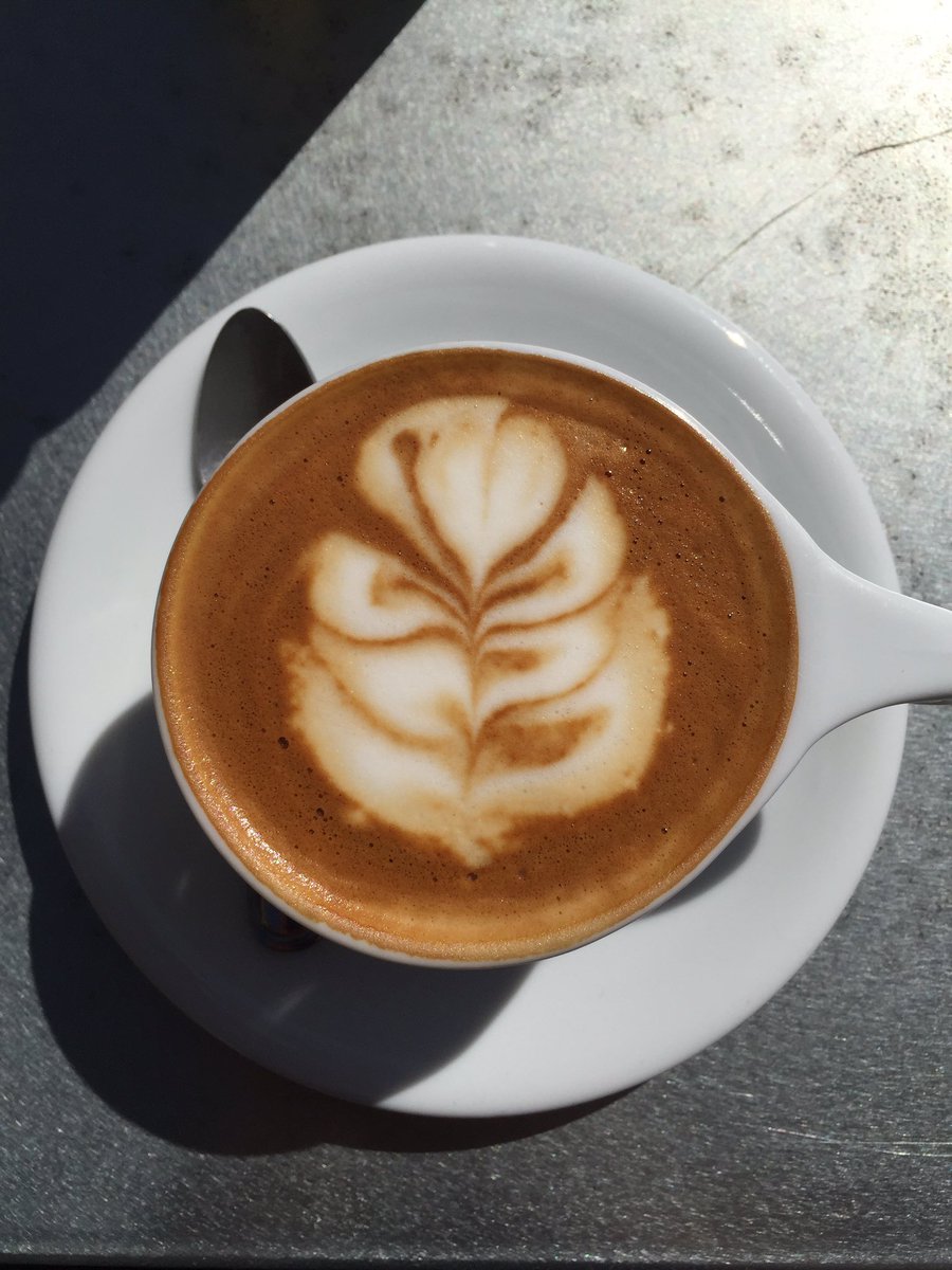 tipsytea's tweet photo. Hitting up French Press Coffee before I hit Santa Barbara today ☕️ https://t.co/itN9vEO39V
