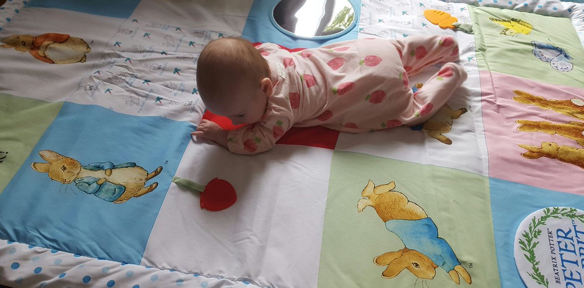 peter rabbit activity mat