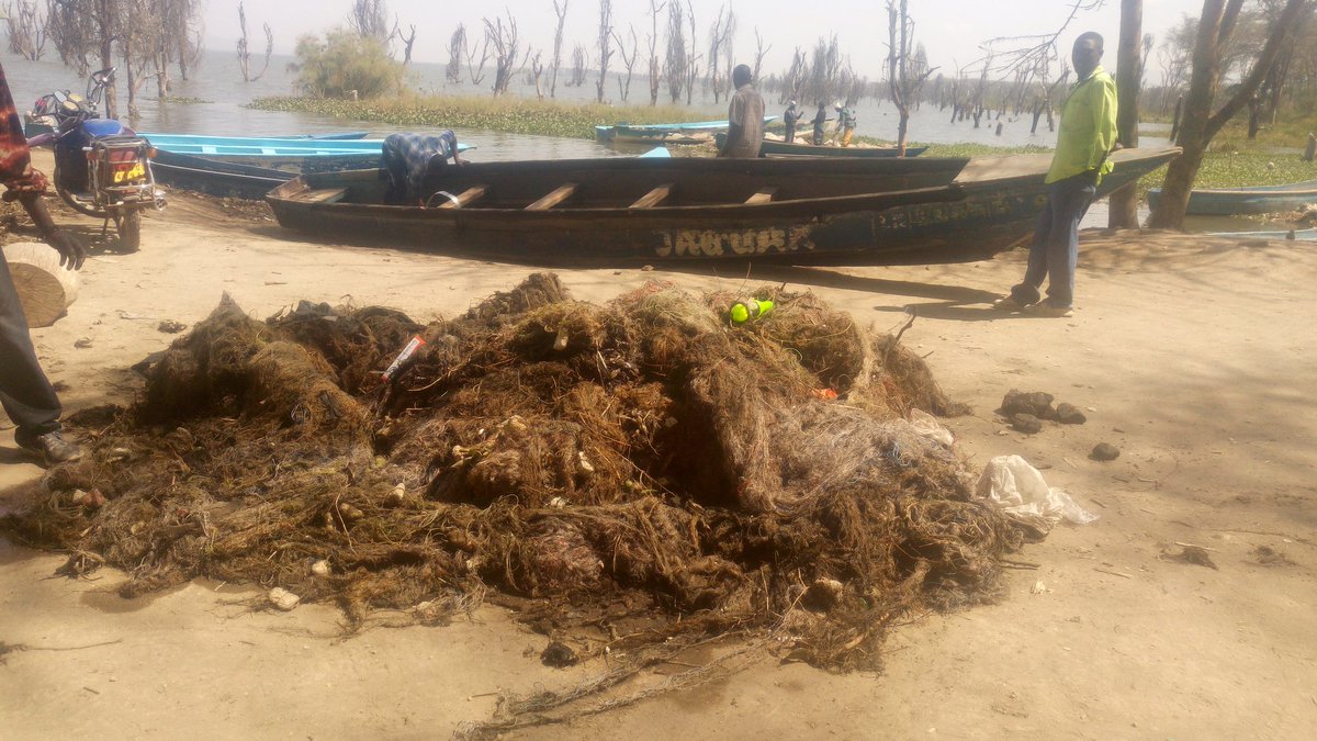 KMFRI_'s tweet photo. KMFRI Naivasha and Nakuru County Fisheries Department took part in retrieving abandoned nets in Lake Naivasha https://t.co/JBVWcDb8Wl