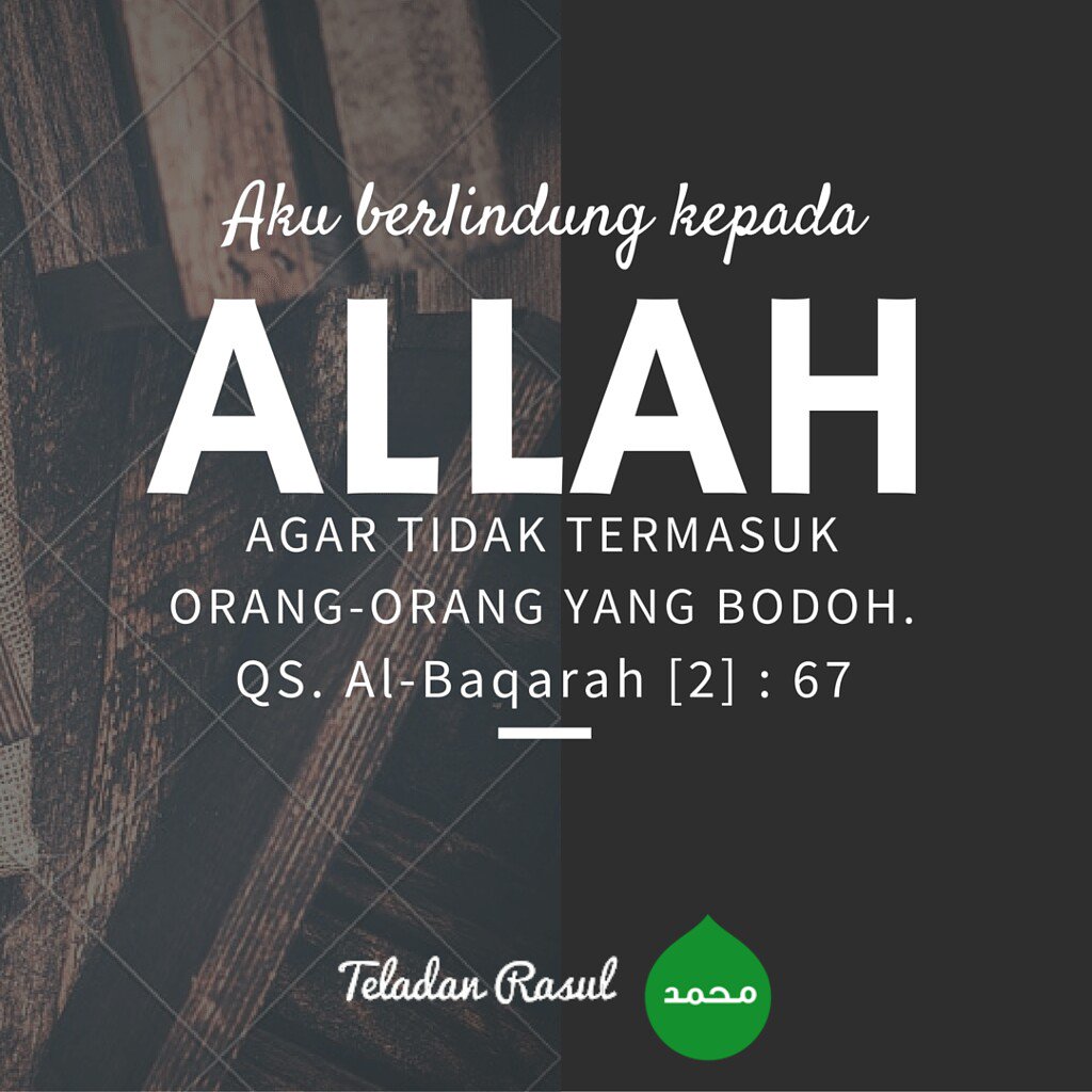 ireNk (@m_irenk) on Twitter photo 