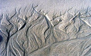 #SoilsMatter! Tiny changes in soil bring huge impact to #groundwater. More here: bit.ly/2czHE6P