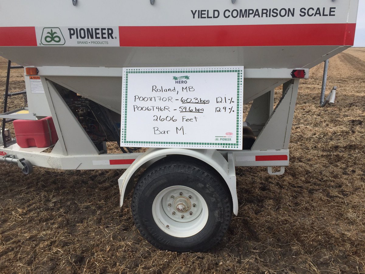 Bud McKnight Seeds tweet media