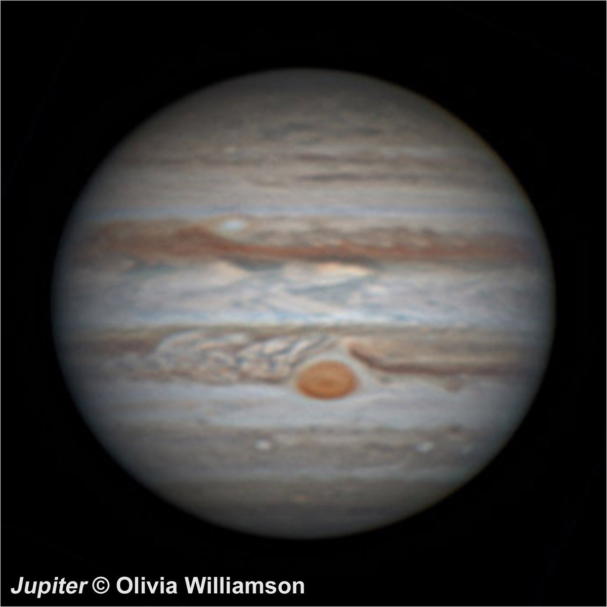 ROGAstronomers's tweet image. Spectacular view into turbulent world of #Jupiter gets 12 yr @youngAPotY14 Highly Commended Young #astrophoto2016